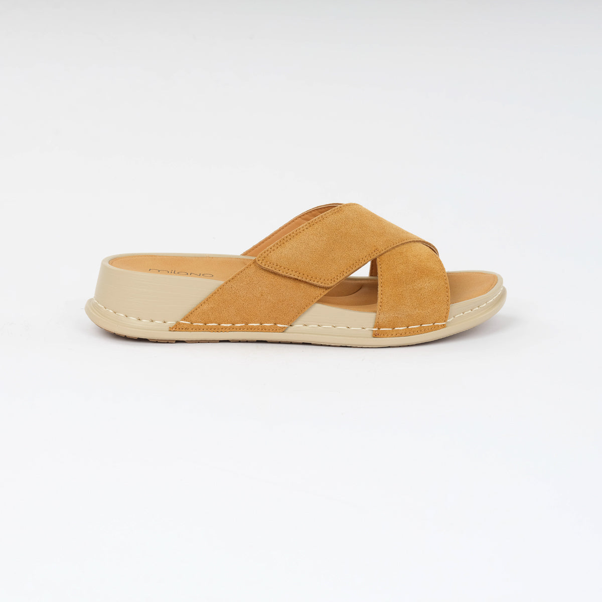 MAYLA Slides-TAN